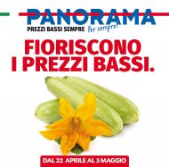 Volantino Panorama Fioriscono i Prezzi Bassi dal 22/04 al 5/05/2021