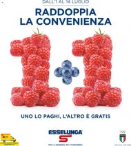 Volantino Esselunga Raddoppia la Convenienza dal 1/07 al 14/07/2021