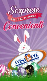 Volantino Casa&Co Sorprese Convenienti dal 13/04 al 24/04/2022