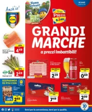 Volantino Lidl Grandi Marche fino al 1/05 dal 24/04/2022