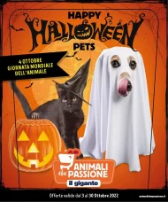 Volantino Il Gigante Happy Halloween Pets dal 3/10 al 30/10/2022