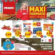 Volantino Penny Maxi Formato fino al 18/06 dall’8/06/2023