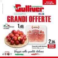 Volantino Gulliver Grandi Offerte dal 7/07 al 17/07/2023
