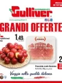 Volantino Gulliver Grandi Offerte dal 7/07 al 17/07/2023