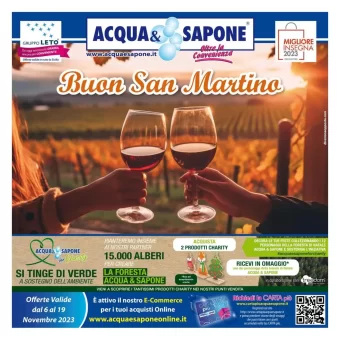 Profumi, Shampoo e Candeggina nel volantino Acqua e Sapone online dal 6/11/2023: Buon San Martino