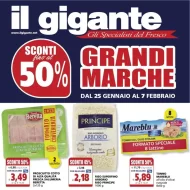 Volantino Il Gigante Grandi Marche dal 25/01 al 7/02/2024