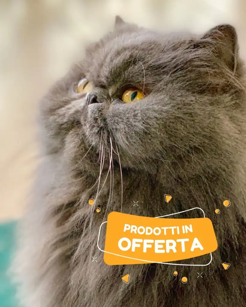Volantino Moby Dick Prodotti in Offerta dal 14/02 al 3/03/2025