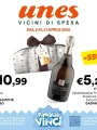 Volantino Unes Vicini di Spesa dal 9 al 21/04/2025