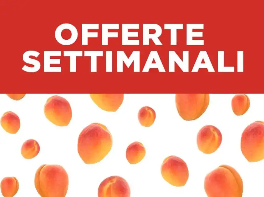 Volantino Esselunga Offerte Settimanali dal 21 al 27/07/2025