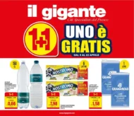 Volantino Il Gigante 1+1 Gratis dal 9 al 22/04/2026